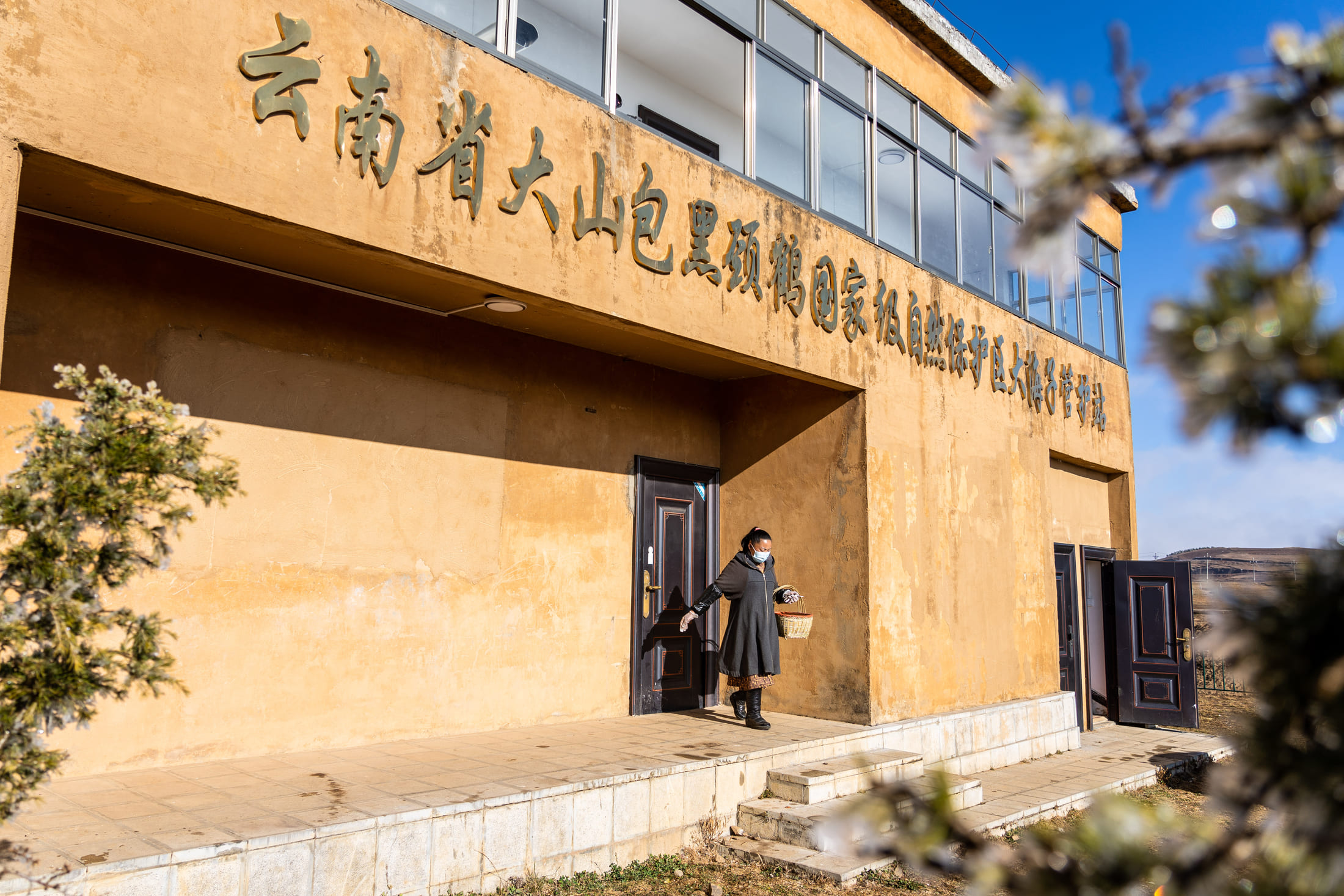 Chen Guanghui prepares to feed black-necked cranes at Dashanbao National Nature Reserve, Zhaotong, Yunnan Province